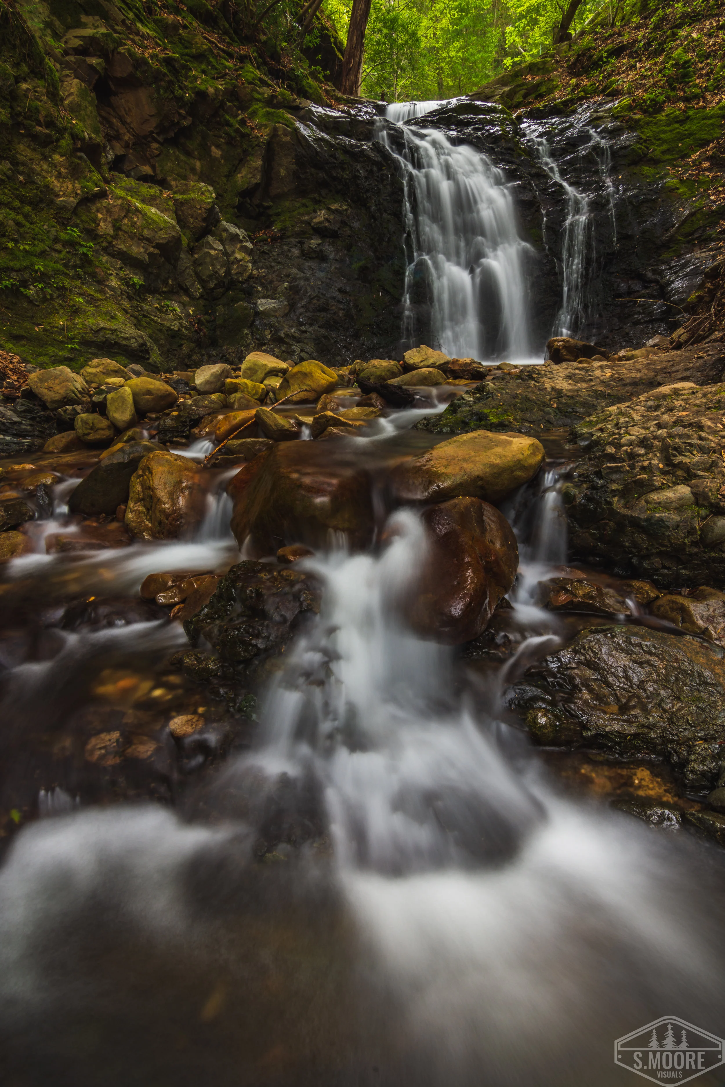 DSC_8192-2.jpg