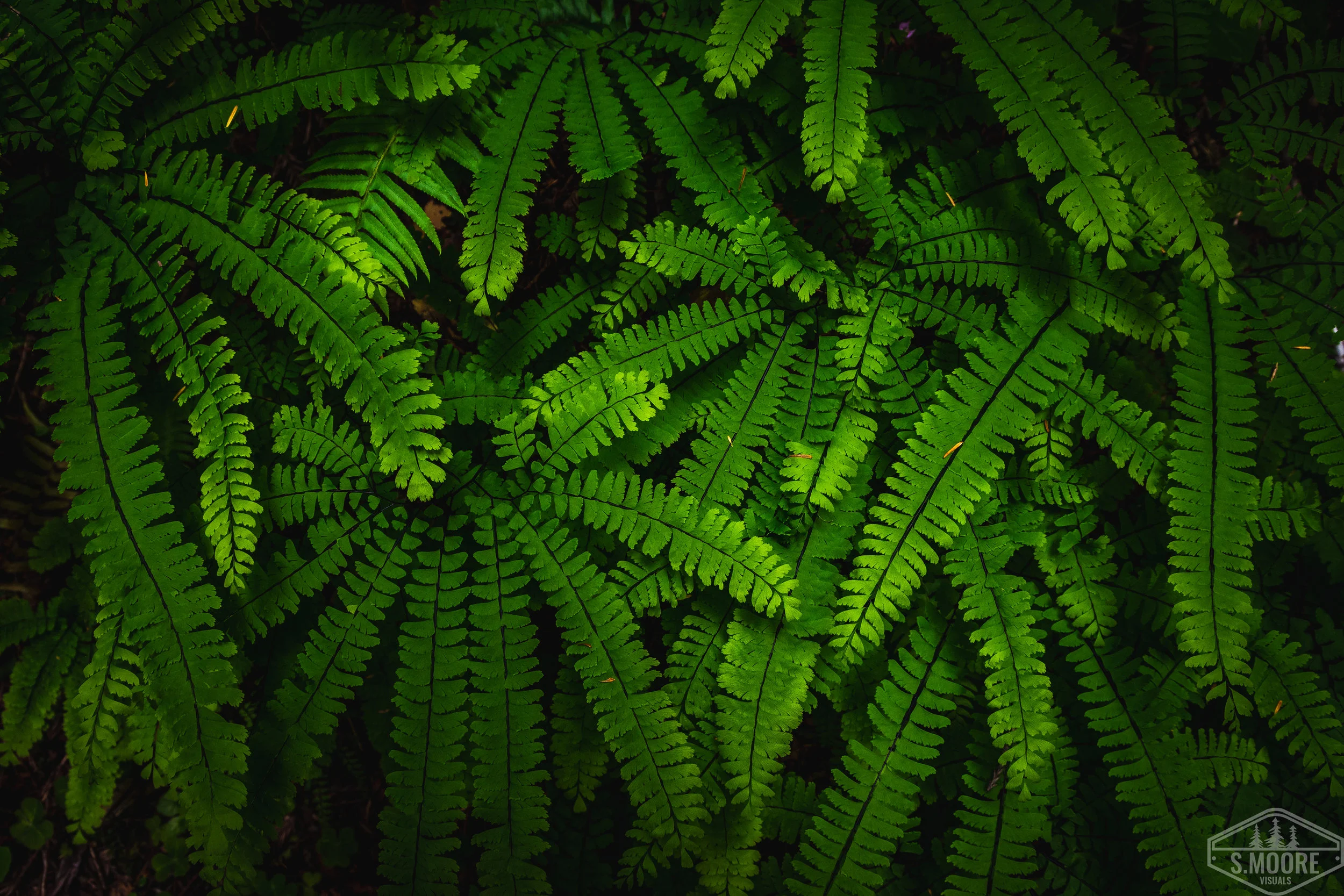 DSC_2629-2.jpg