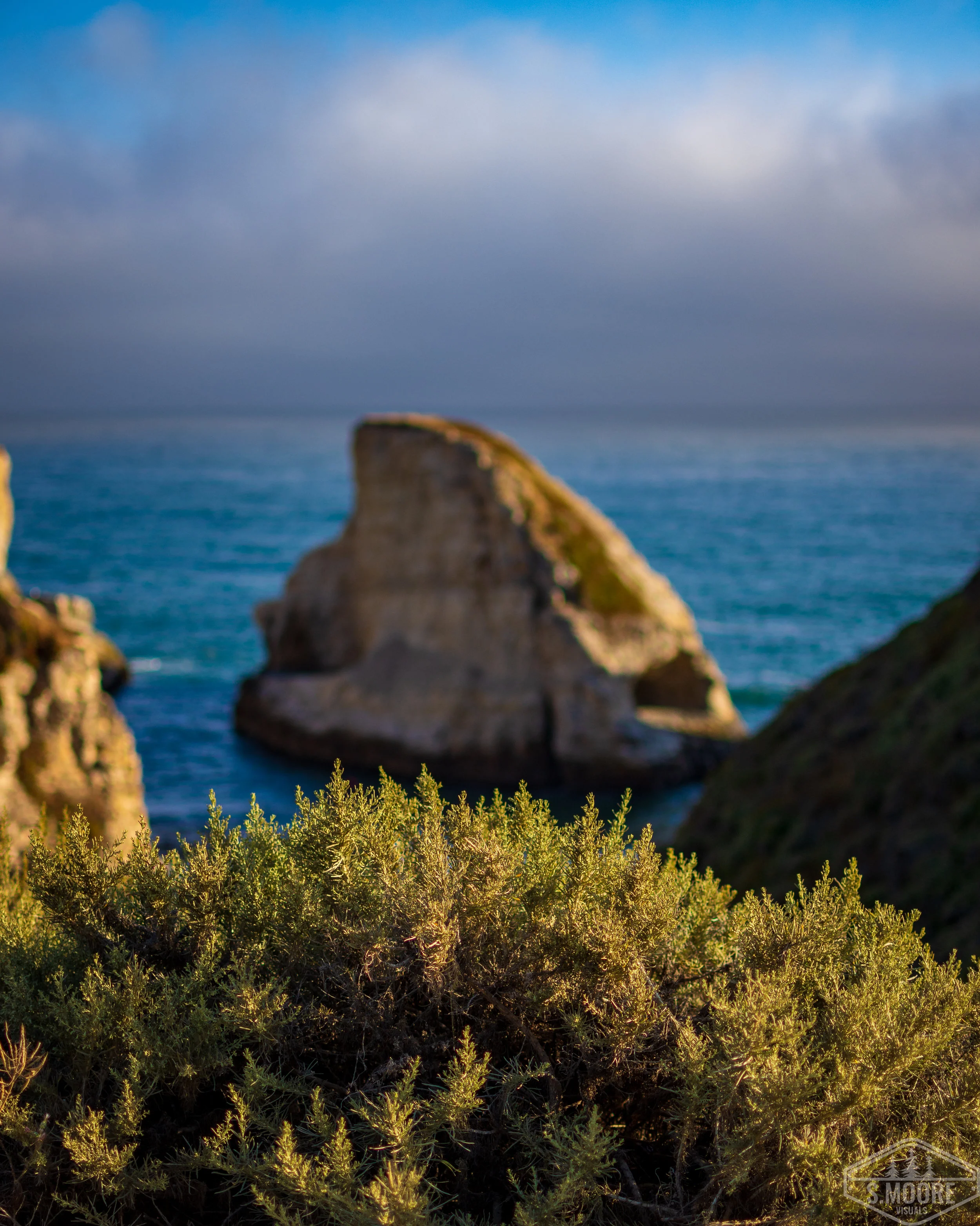 DSC_6359-3.jpg