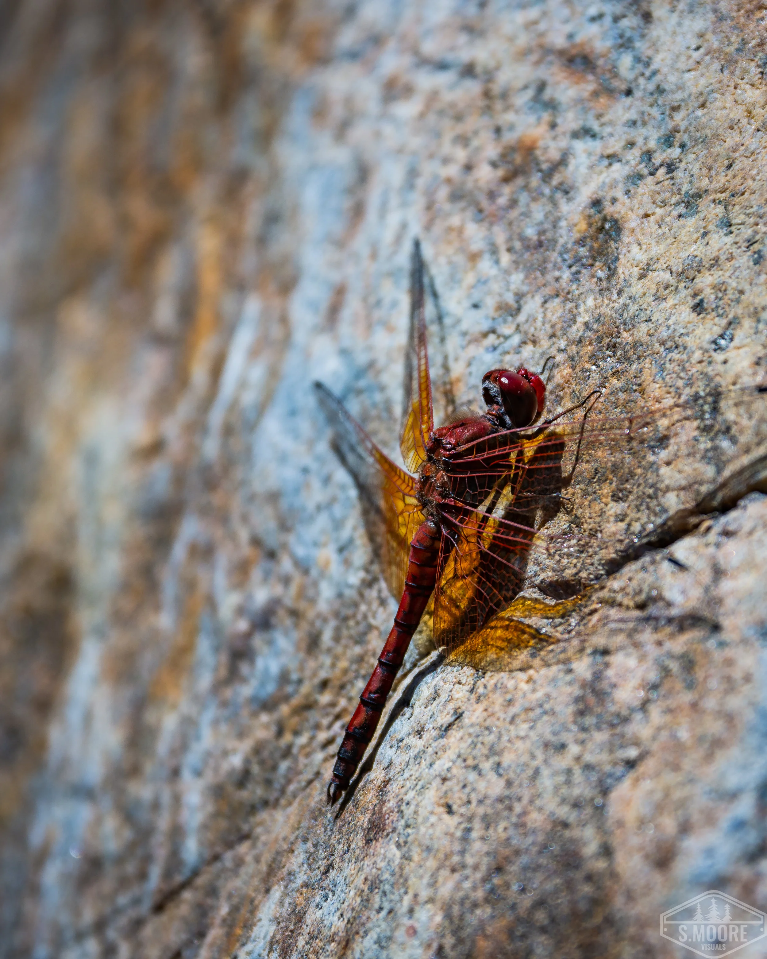 DSC_7691.jpg
