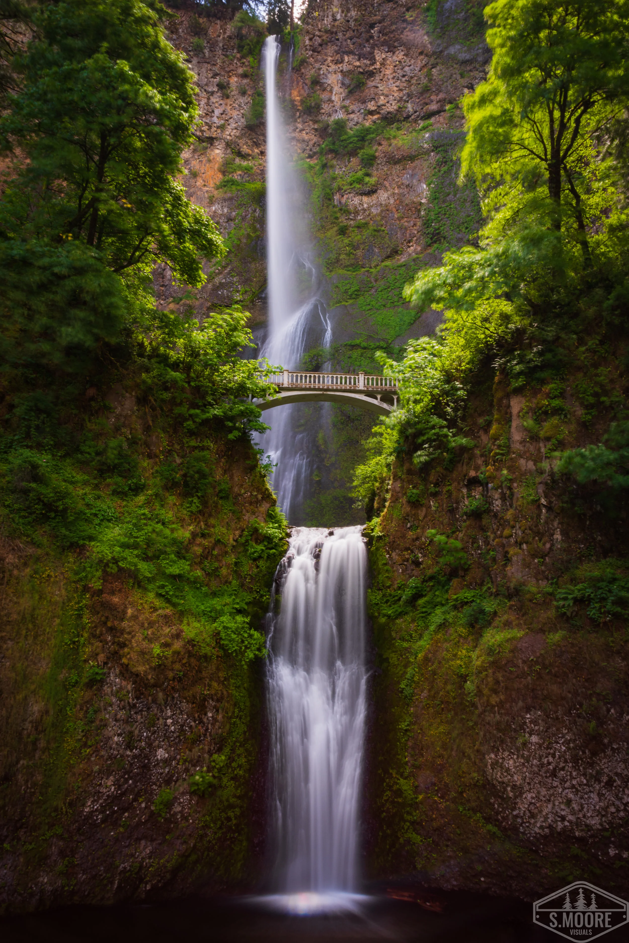 DSC_3778-5.jpg