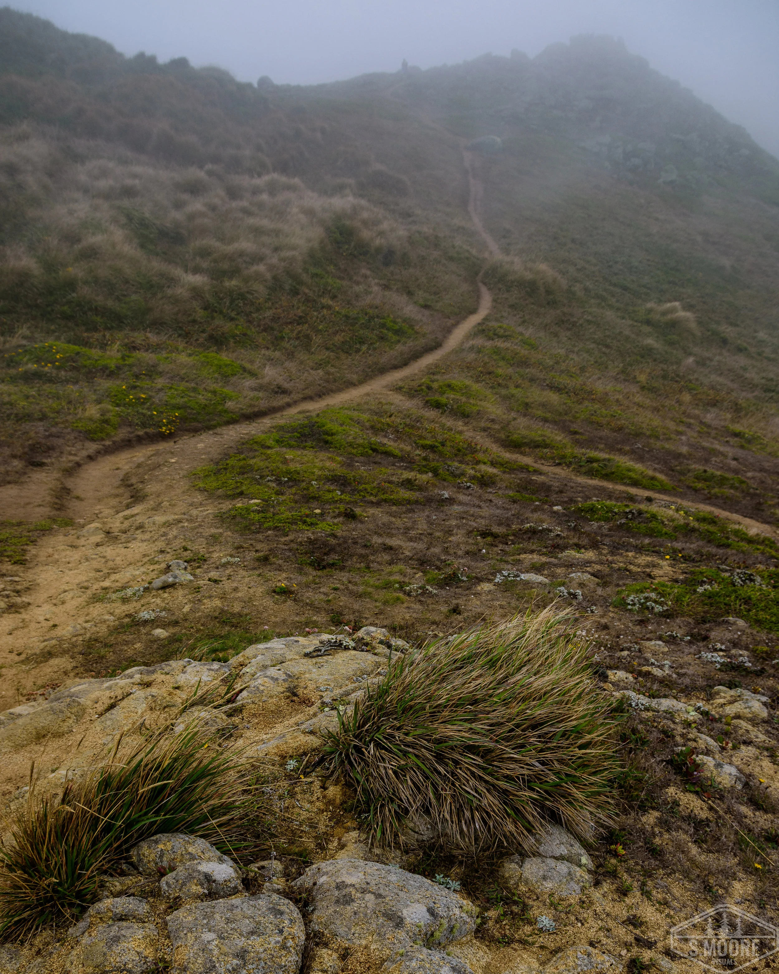 DSC_1003-2.jpg