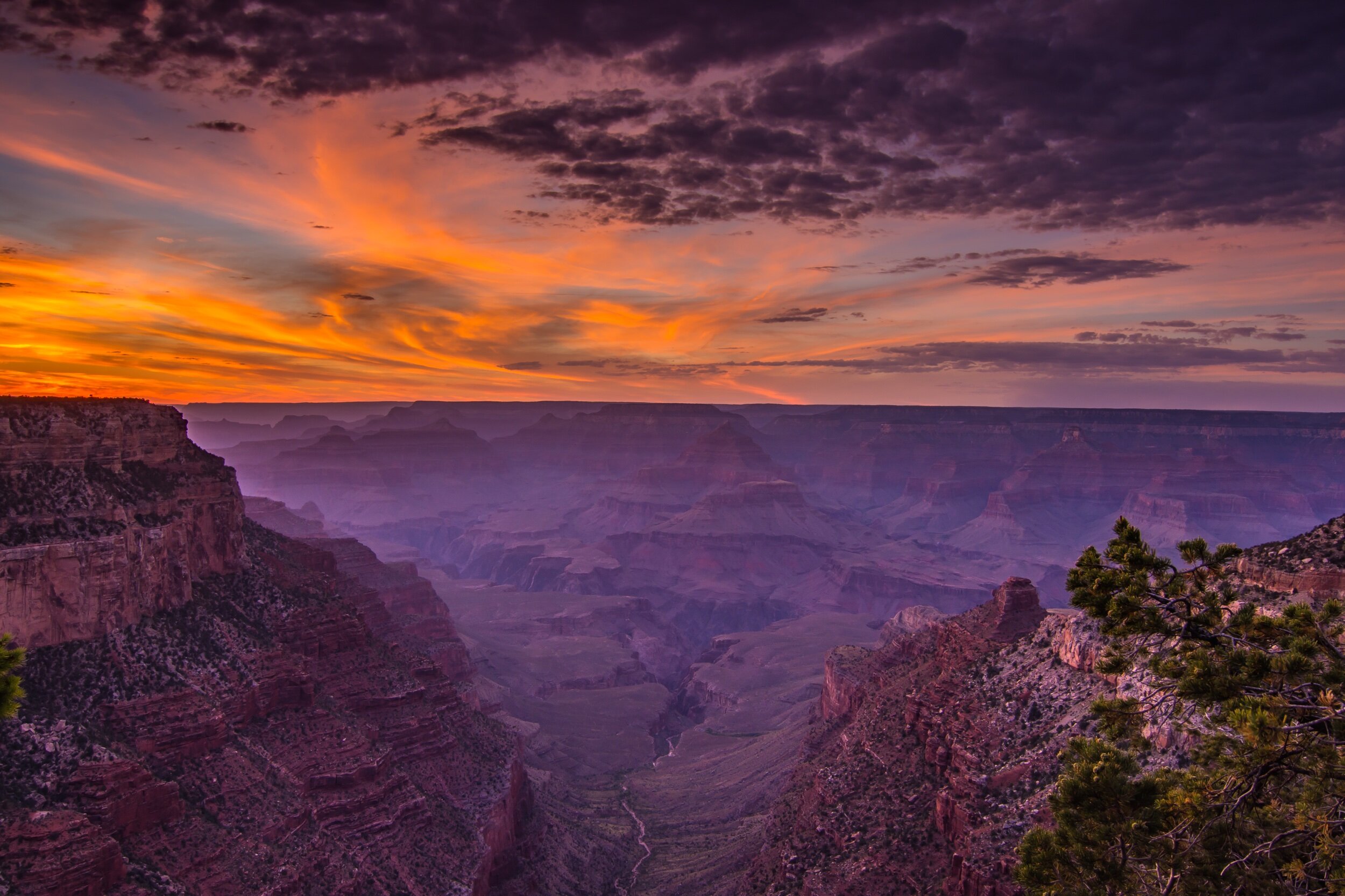 DSC_2792.jpeg?format=2500w