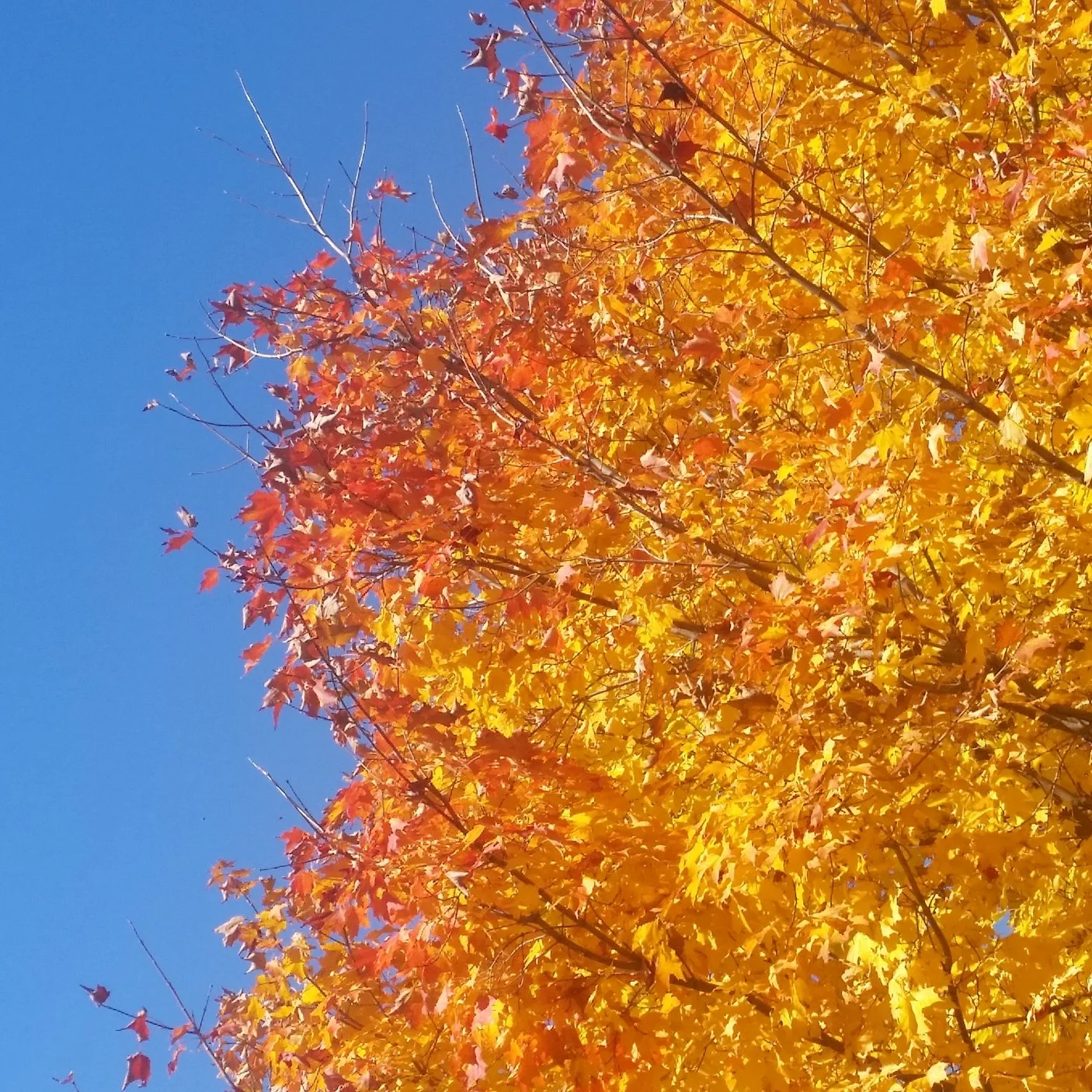DSC01494.jpeg