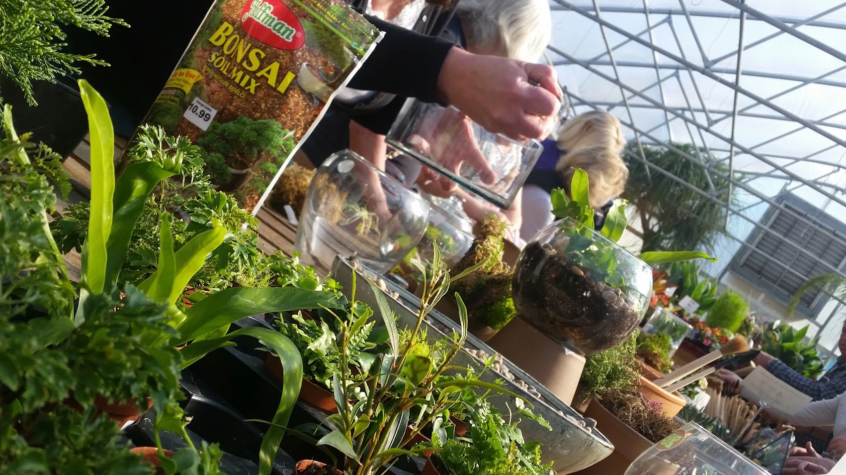 terrplants.jpg