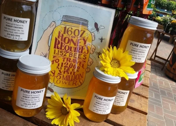 honey2.jpg