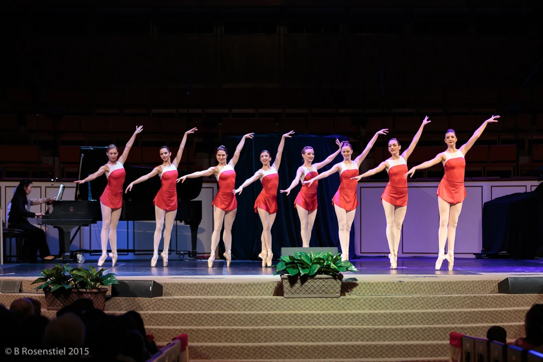 Apexartsgallery_AvantChamberBallet_3.jpg