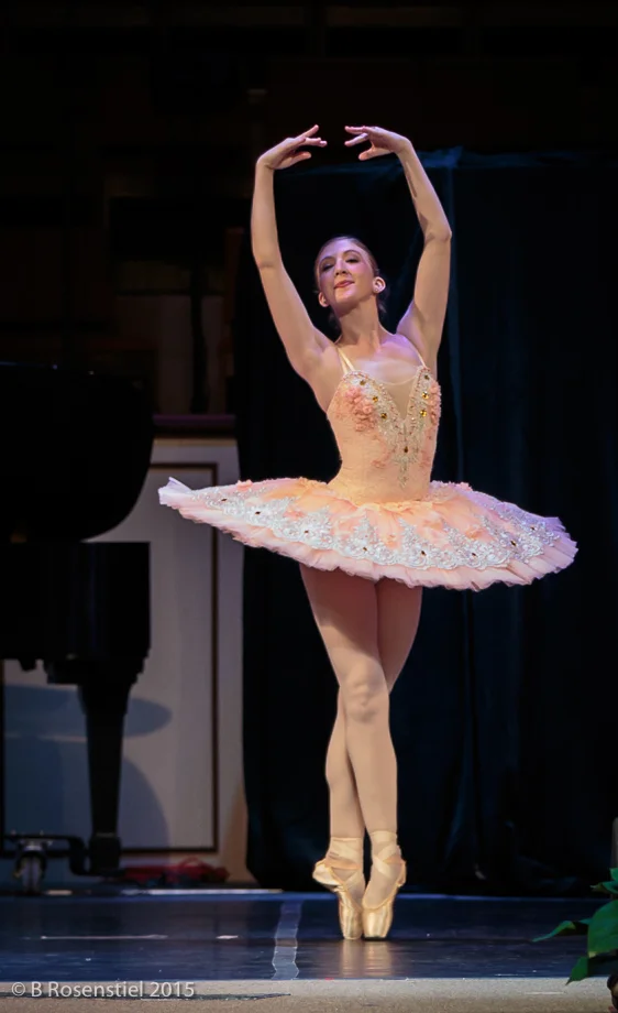 Apexartsgallery_AvantChamberBallet_5.jpg