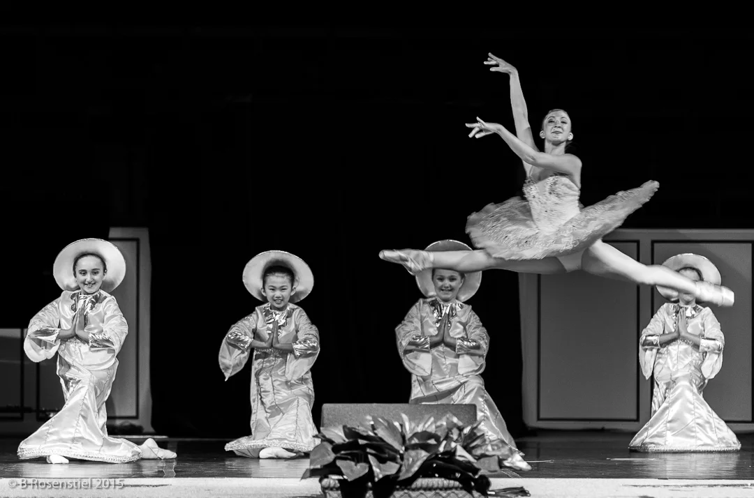 Apexartsgallery_AvantChamberBallet_9.jpg