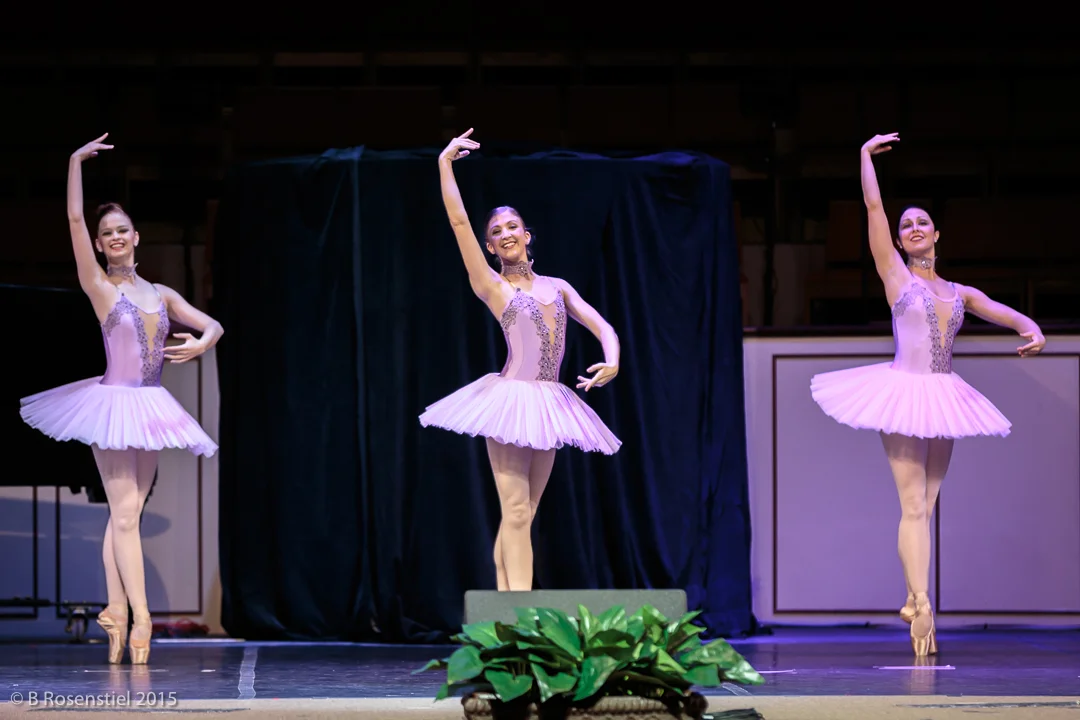 Apexartsgallery_AvantChamberBallet_24.jpg