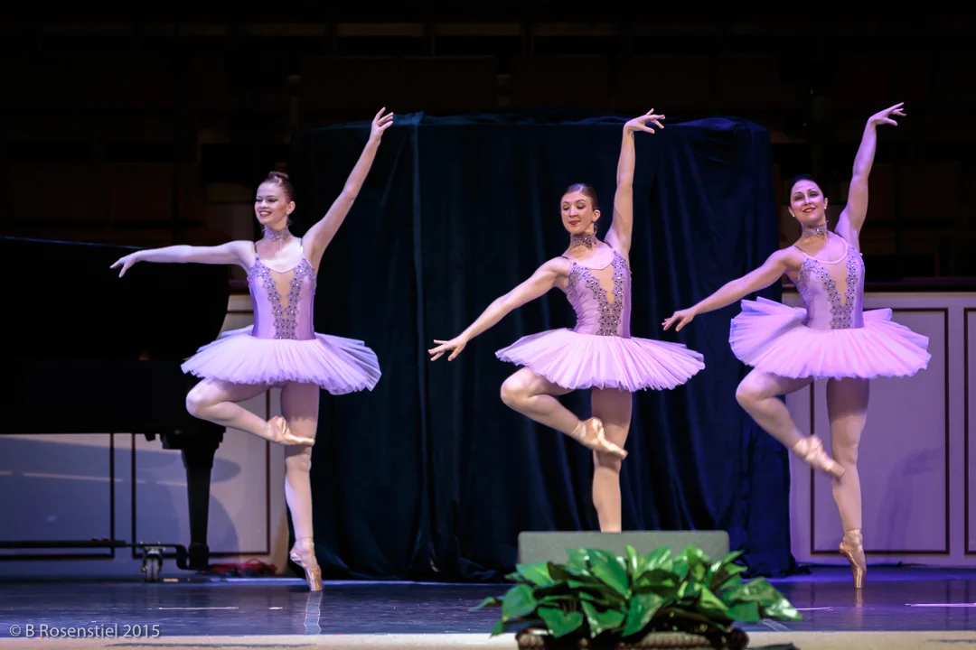 Apexartsgallery_AvantChamberBallet_23.jpg