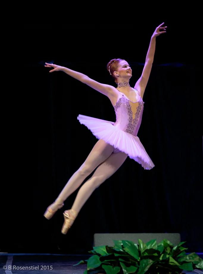 Apexartsgallery_AvantChamberBallet_27.jpg