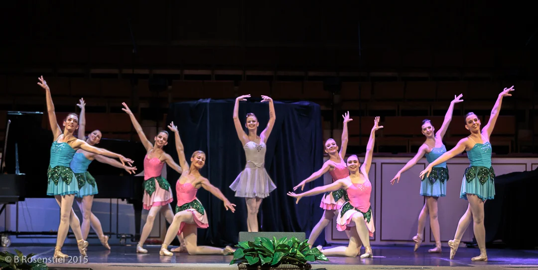Apexartsgallery_AvantChamberBallet_43.jpg