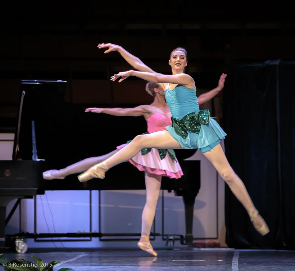 Apexartsgallery_AvantChamberBallet_45.jpg