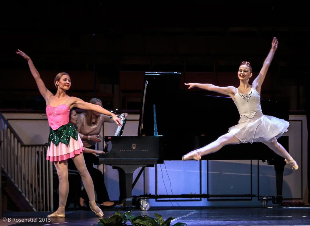 Apexartsgallery_AvantChamberBallet_46.jpg