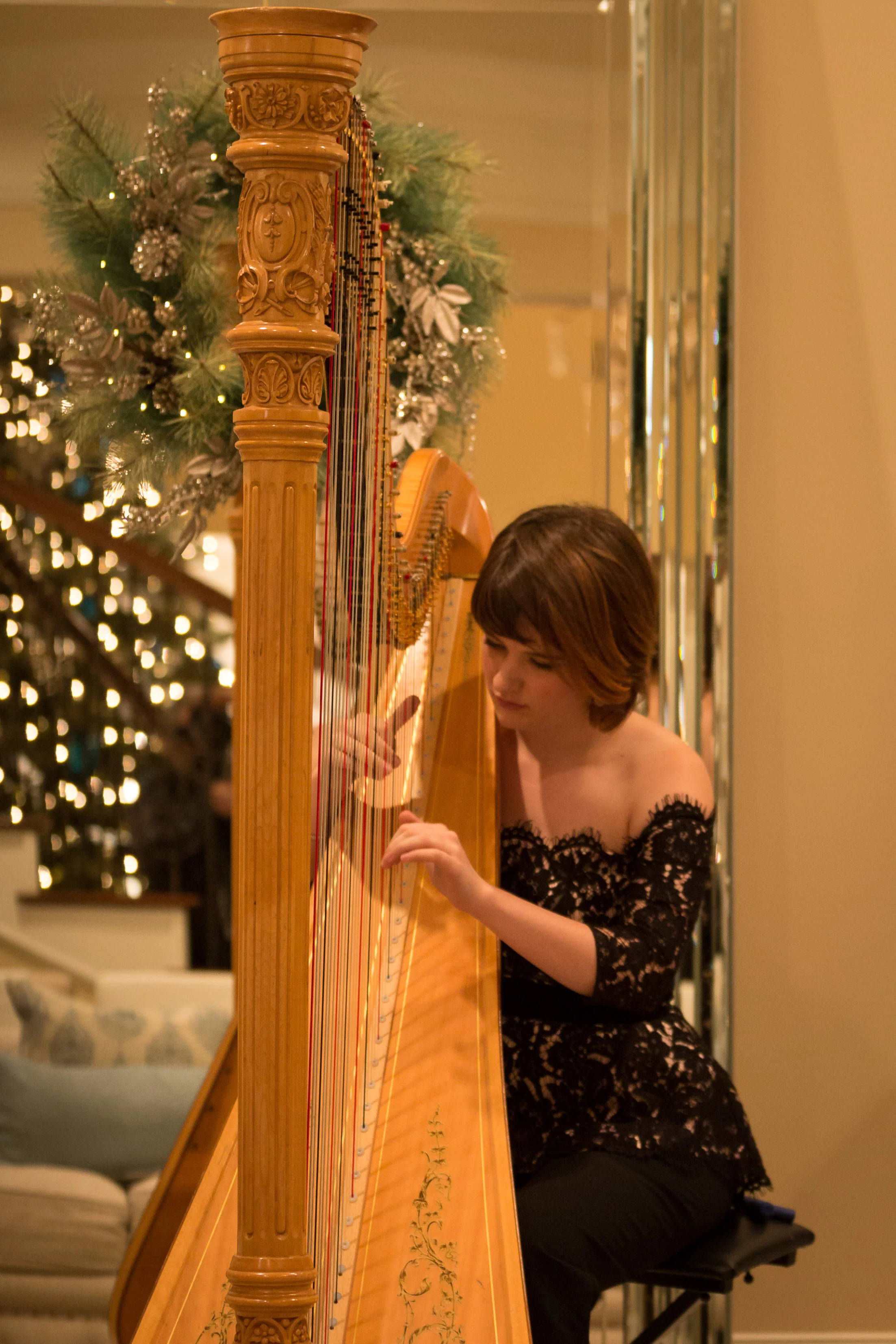 APEXHarp121017__DM33685.jpg
