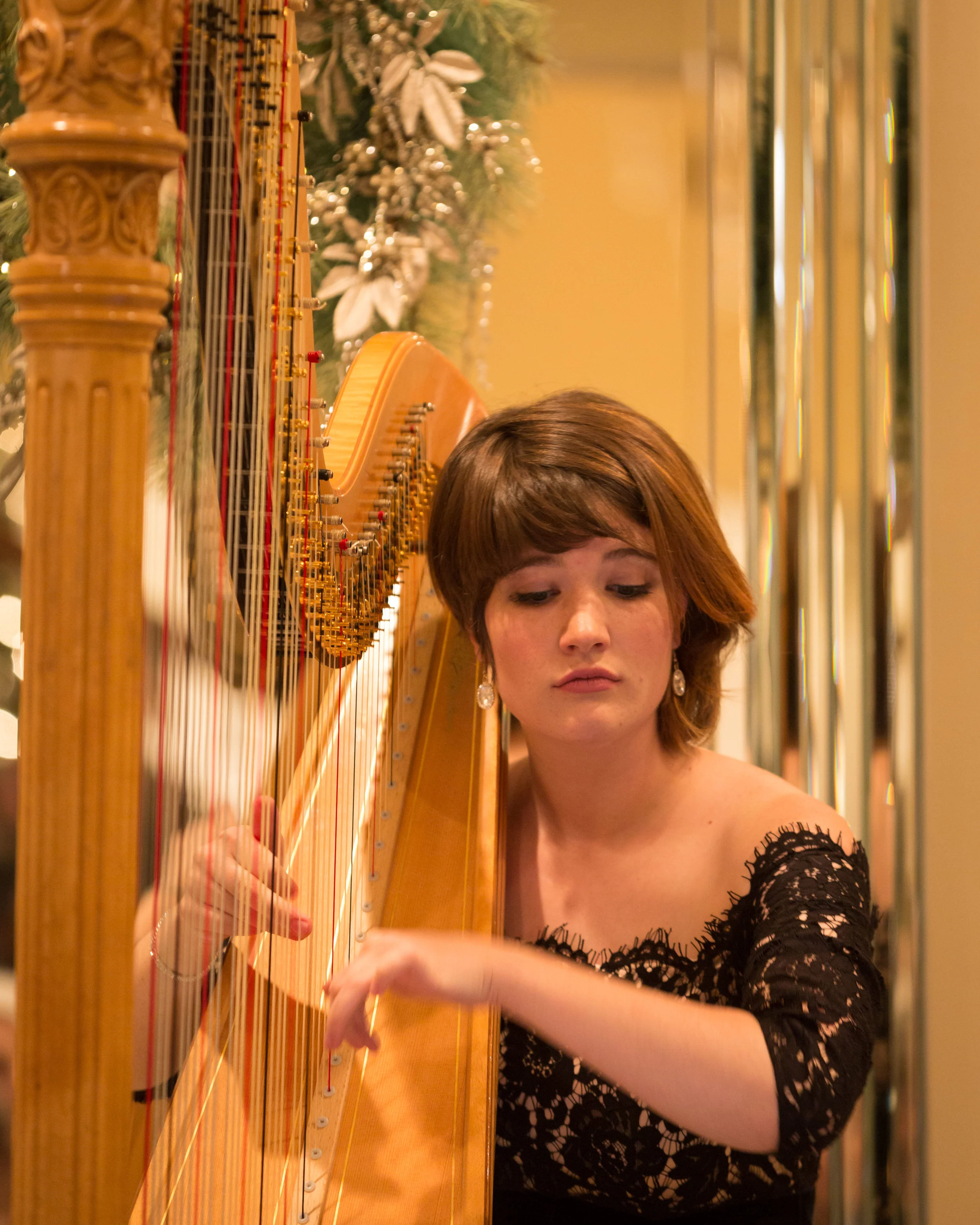 APEXHarp121017__DM33699.jpg