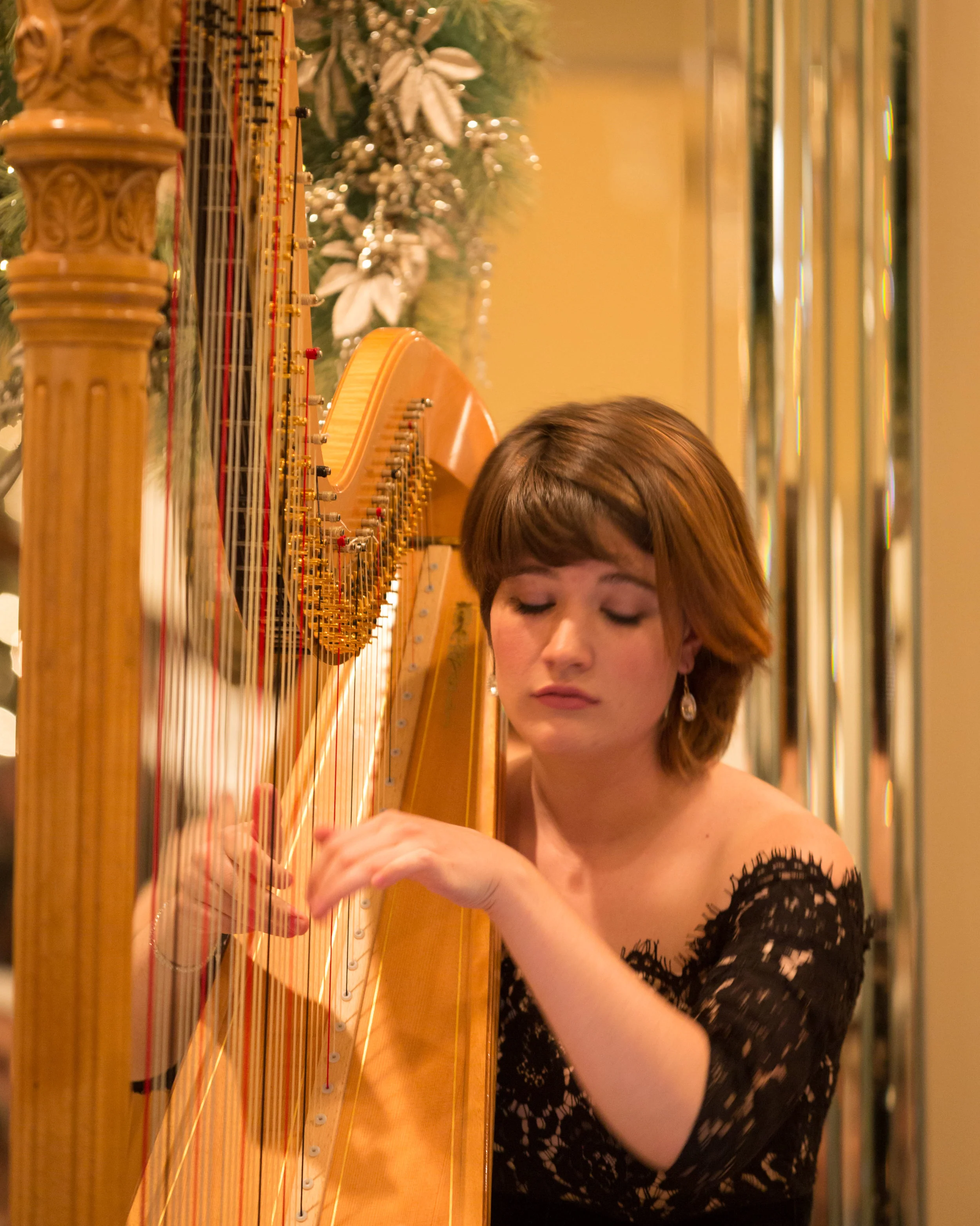 APEXHarp121017__DM33700.jpg
