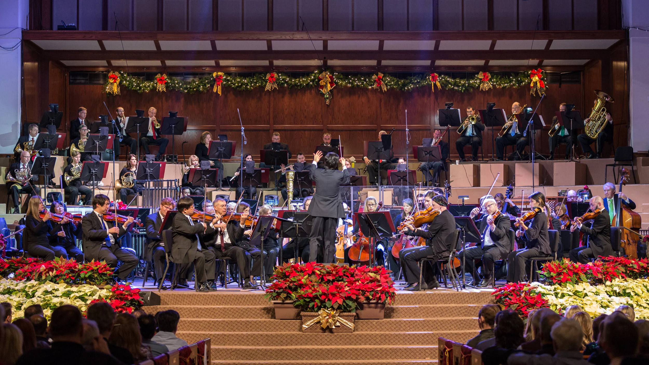 Apex_FWSO122117__DMC4143.jpg