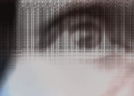 packet4.gif