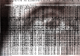 packet7.gif