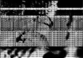 packet13.gif