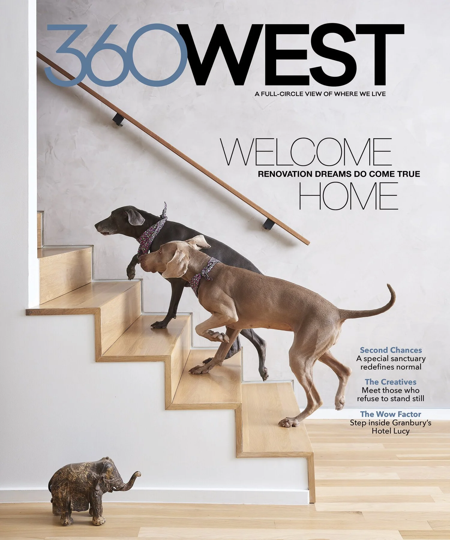  Editorial cover photo. 