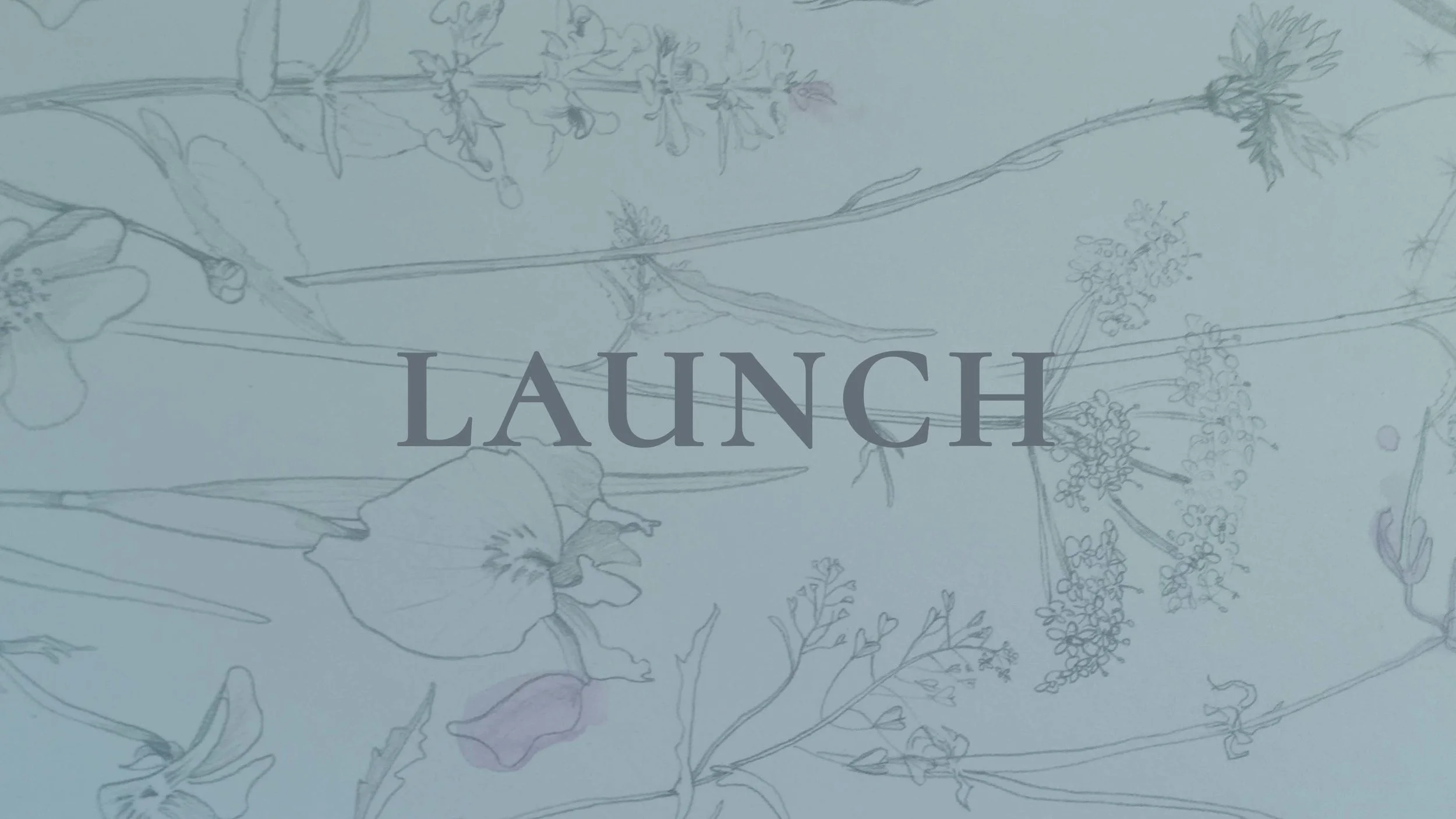LAUNCH.jpg
