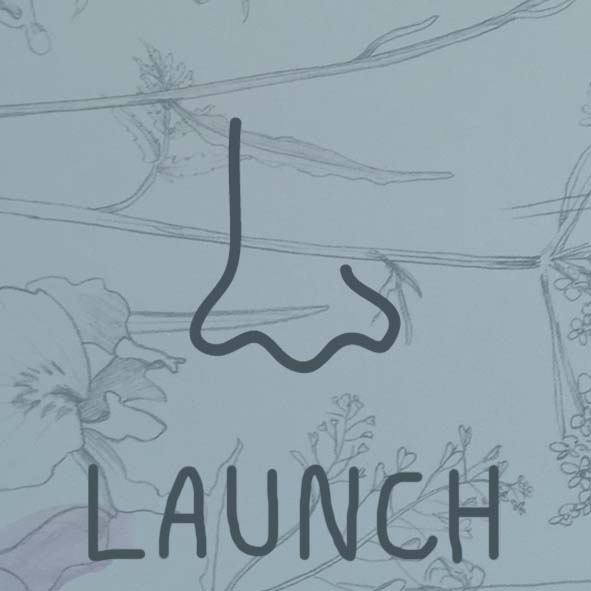 launch-d.jpg
