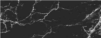 Graphic_5_Black Marble_1.jpg