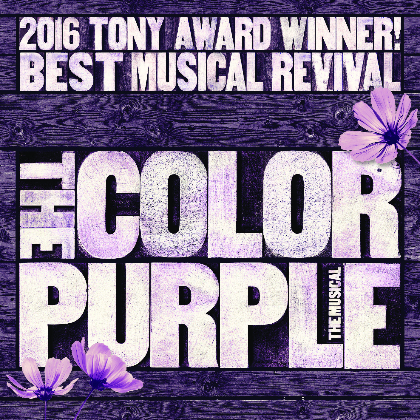 colorpurpletony.jpg