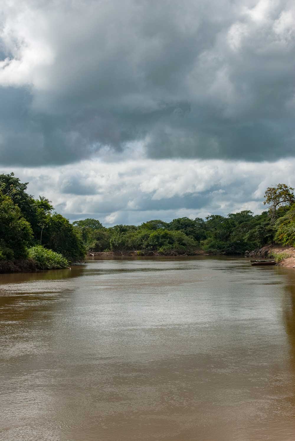  After lunch we take a wander down to the river to swim with the Caiman House guide Howard. He points out plants along the way and tells us about “guard plants” - certain species of plant believed to have protective powers. Howard straps one of these