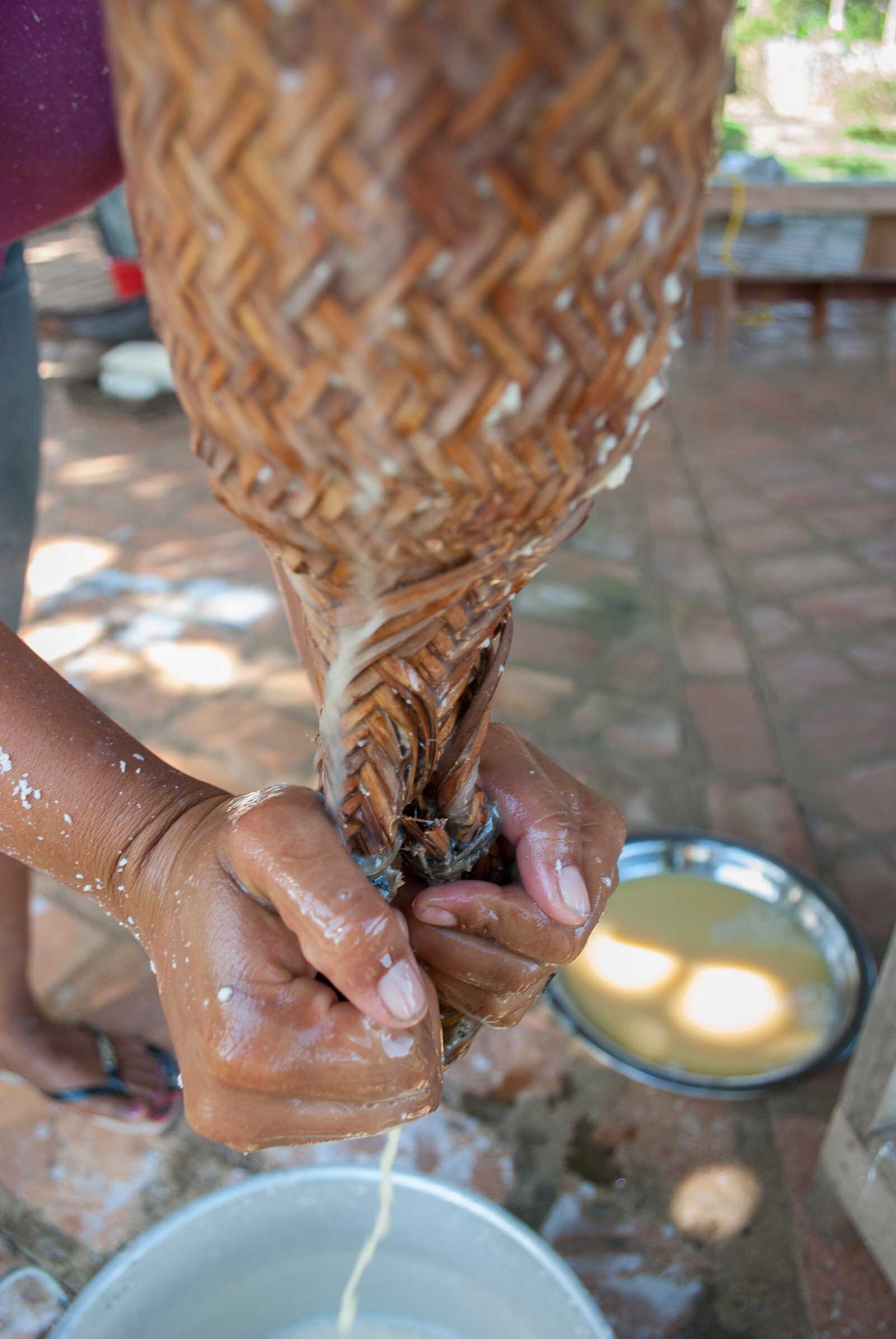  The tipiti is pulled to squeeze the manioc juice out. It is left to sit for a few hours, to decant the starch, a white powder called tapioca that is cooked in a number of different ways. The juice is what we’re after though to make the black tucupi.