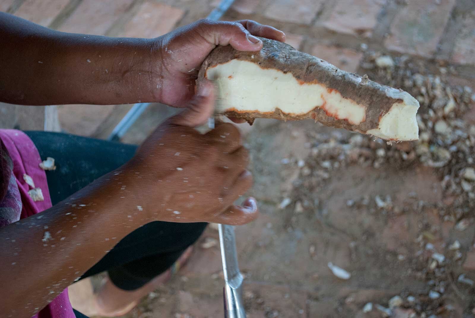  Back in the village, the process of making black tucupi begins. It’s going to take a couple of days all in, and is work traditionally done by women. First up, peeling the manioc.  Photo © Tina Leme Scott  