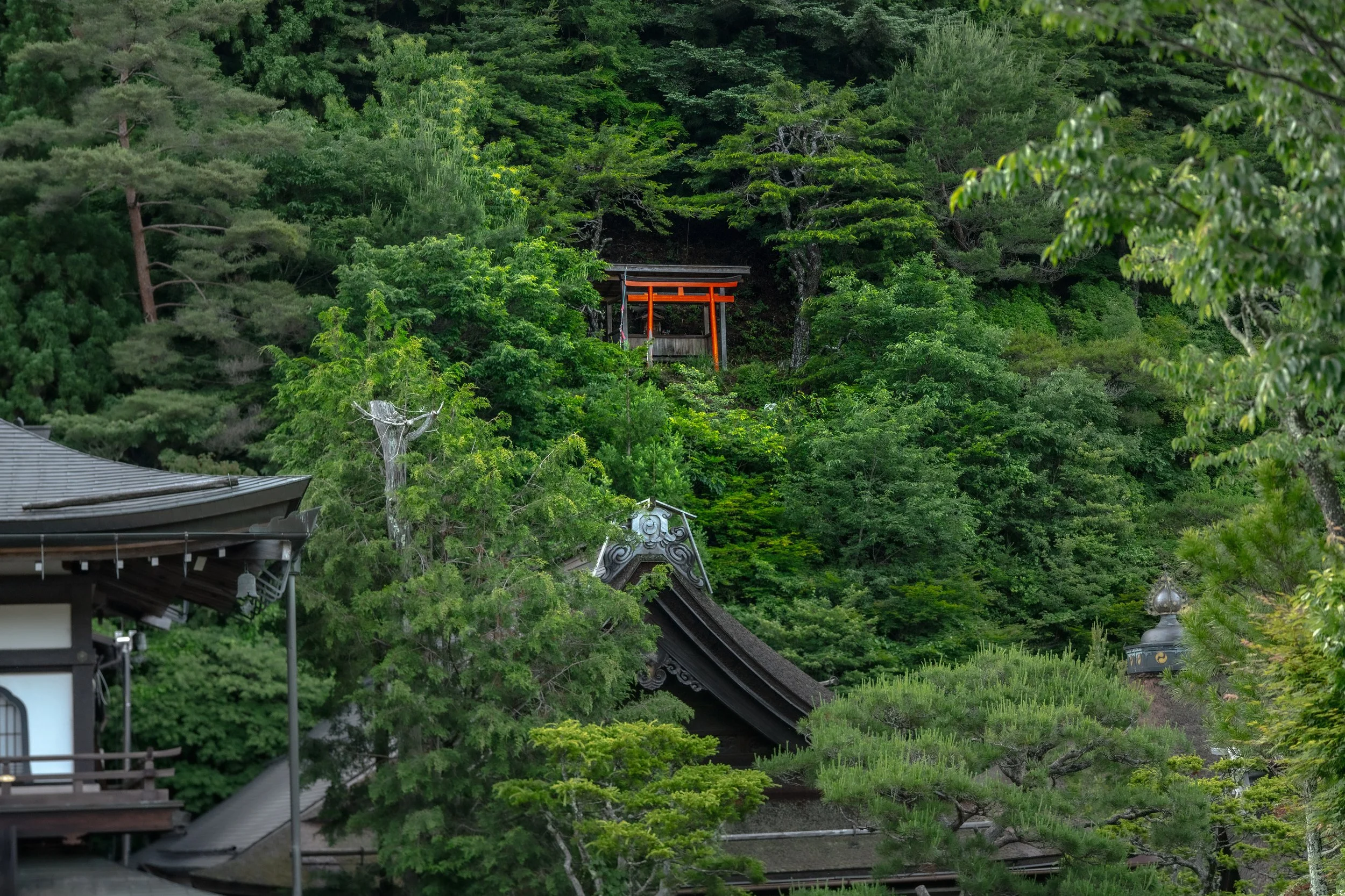 japan 3 small.jpg