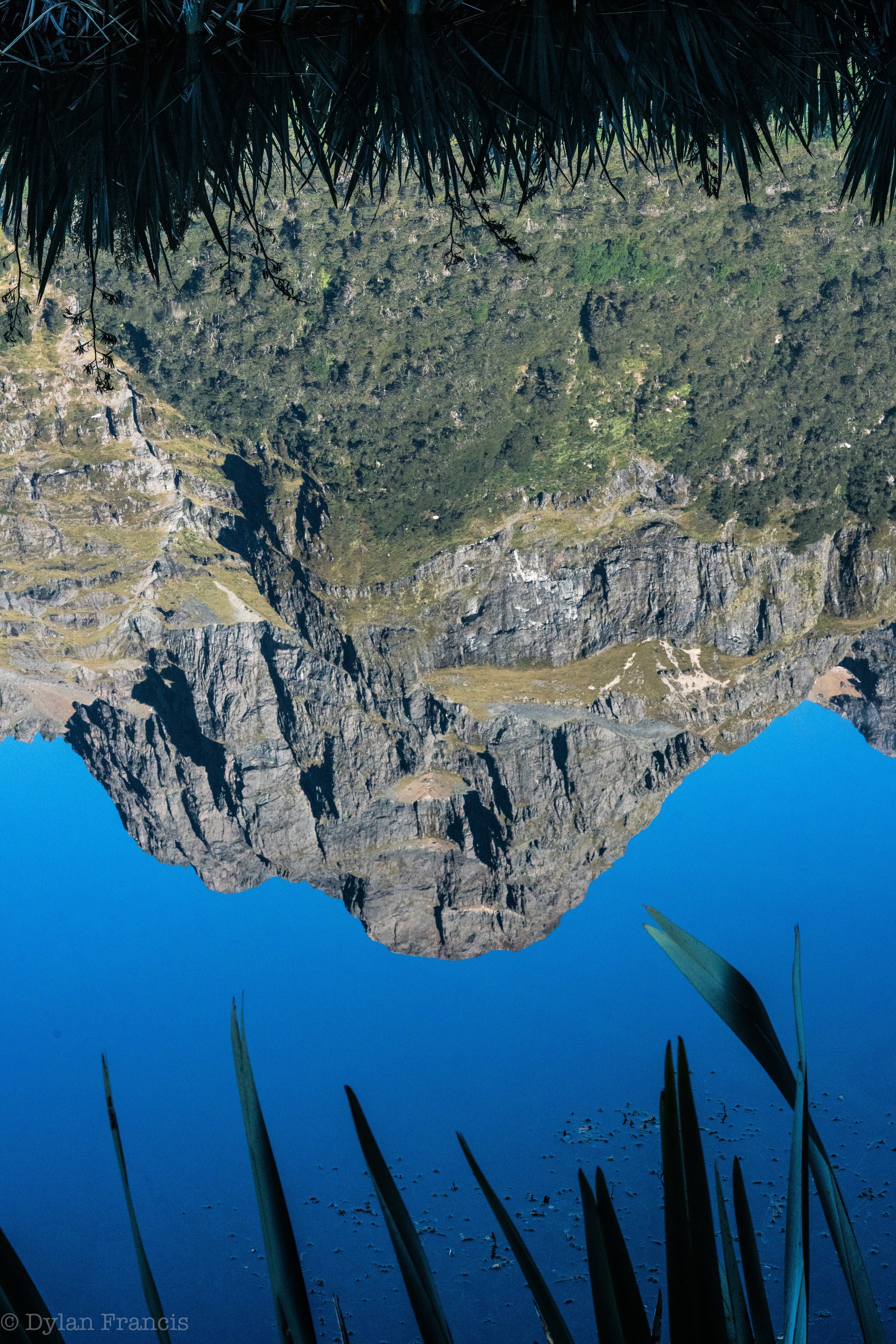 NZ13.jpg