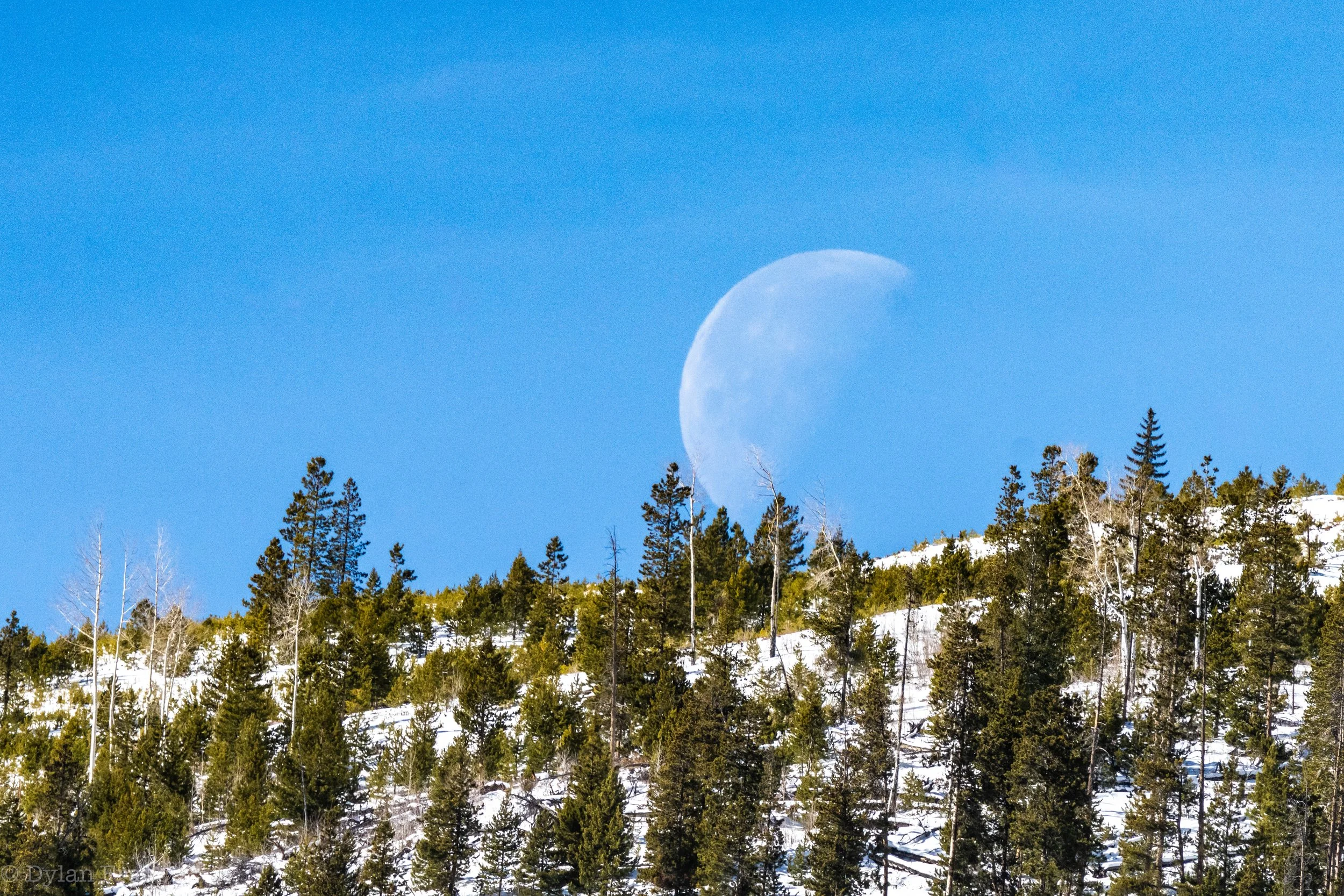 Lacedonia-14 copy 2.jpg