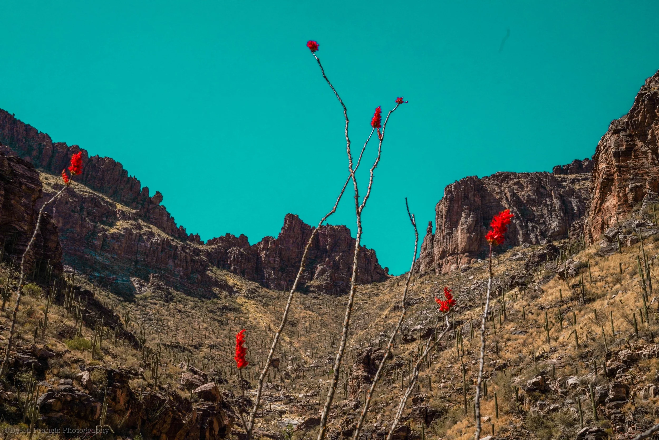 untitled-00959 copy 2.jpg