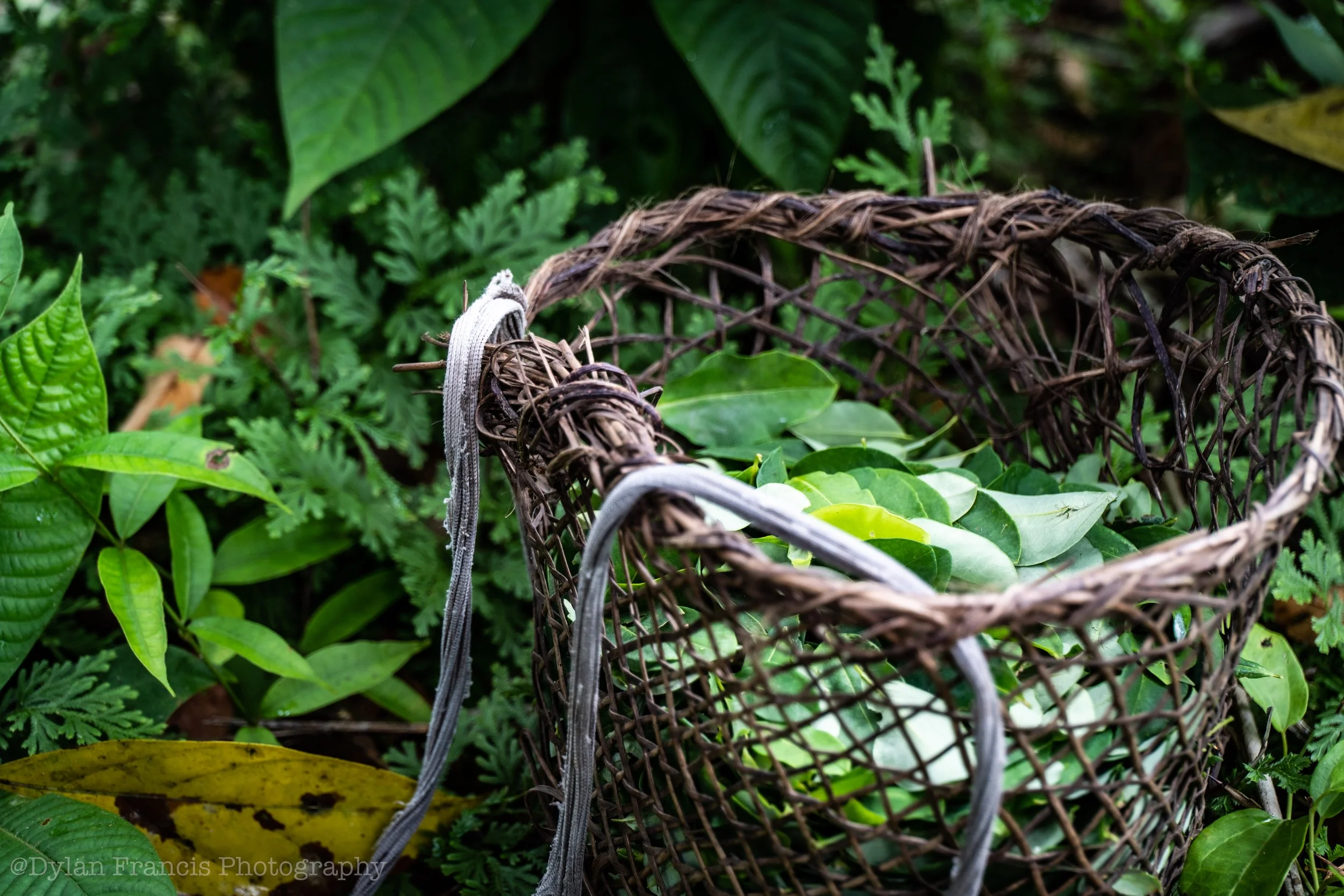 20240227-DSC00070 copy.jpg