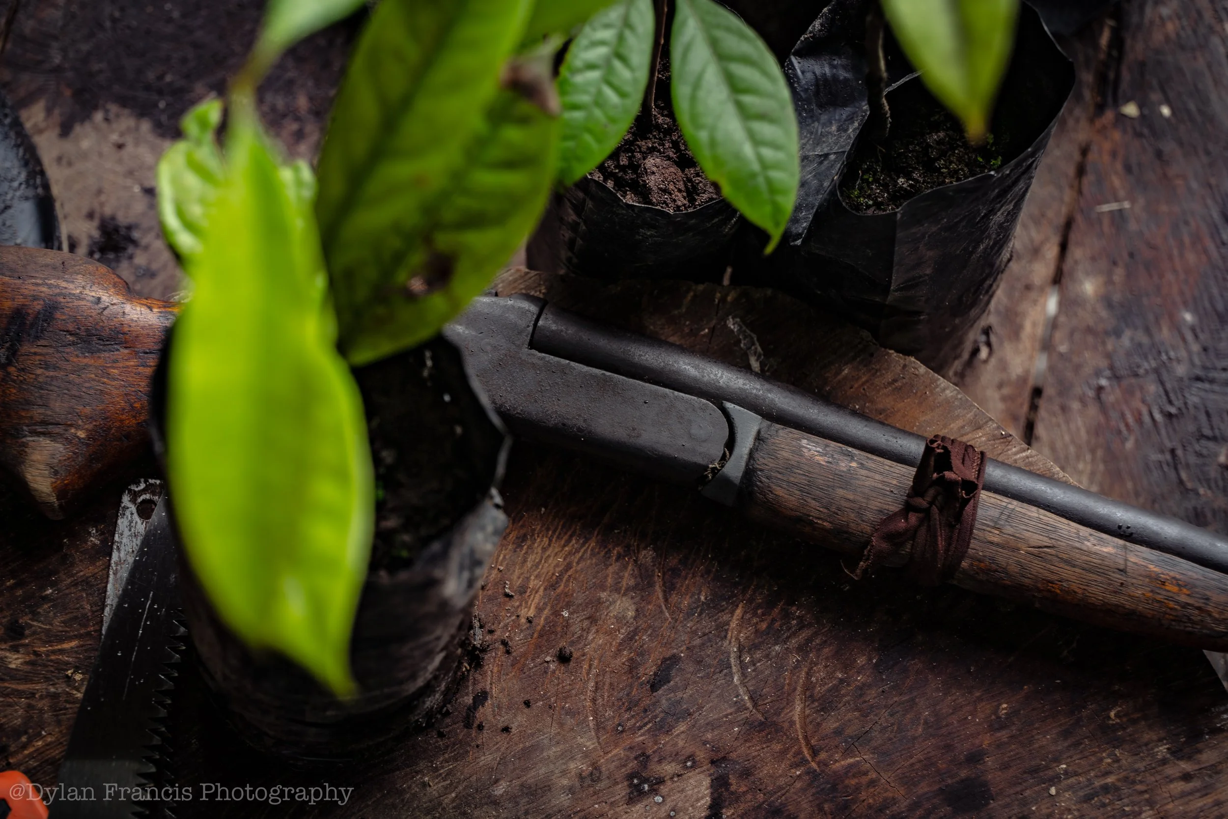 20240301-DSC00261 copy.jpg