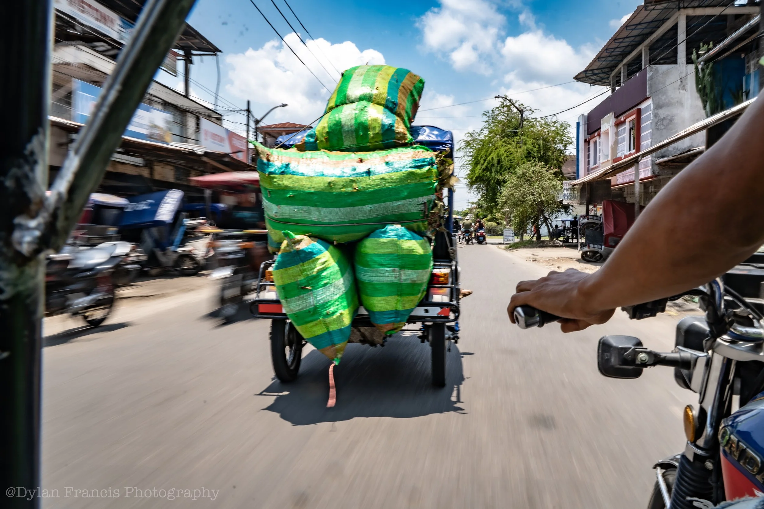 20240304-DSC09941 copy.jpg