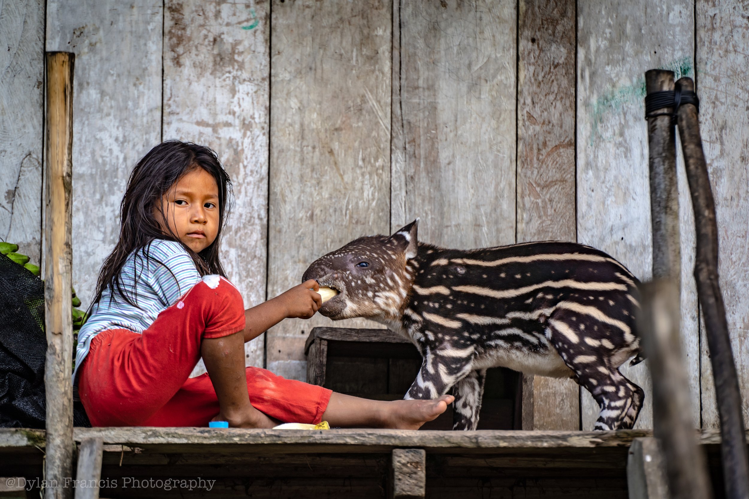 20240222-DSC09844 copy.jpg