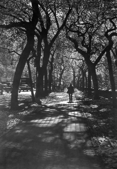 werger-follow.jpg