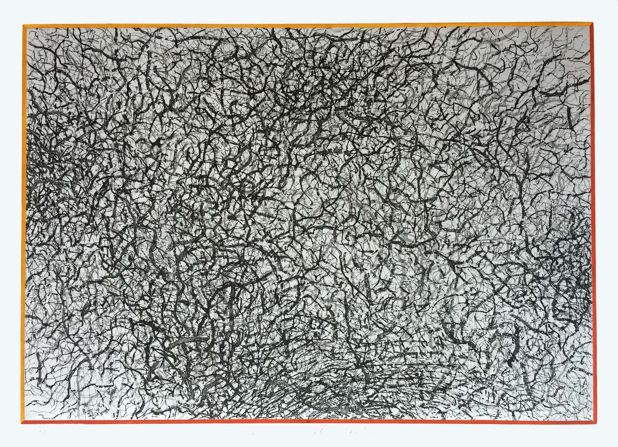 Tomasini Creek Wilderness