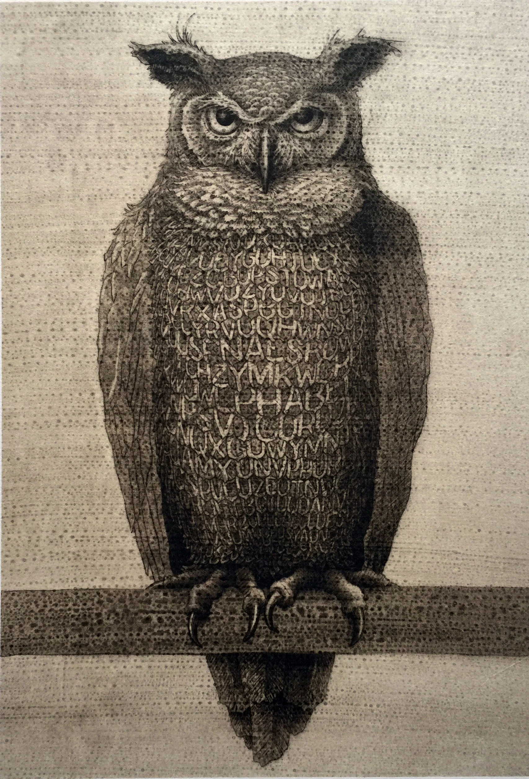 Kelvin-Man-Owl.jpg