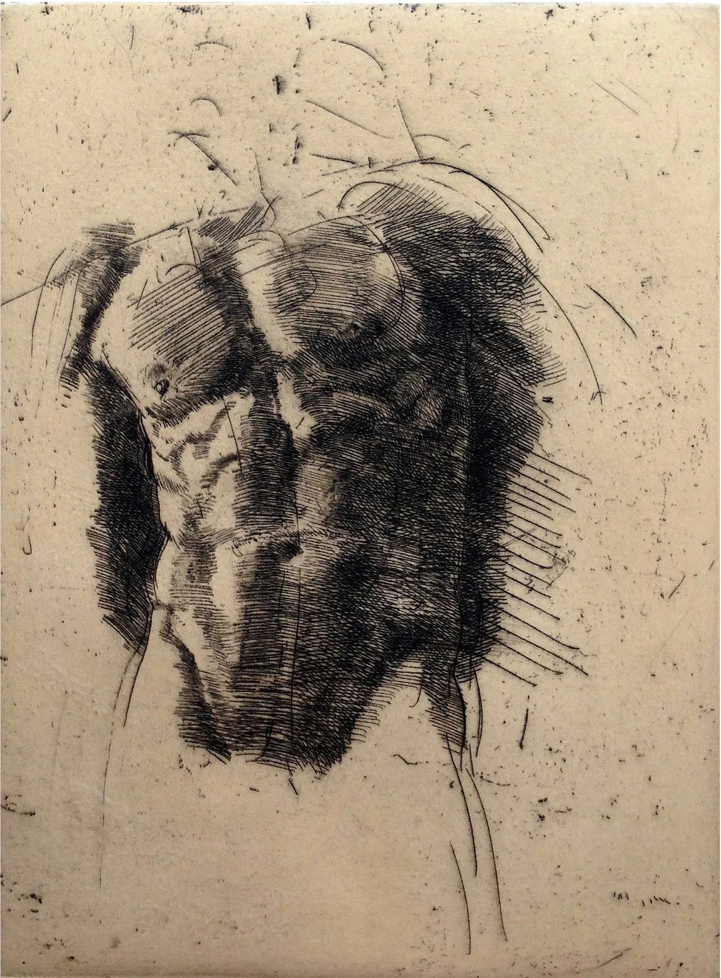 Torso