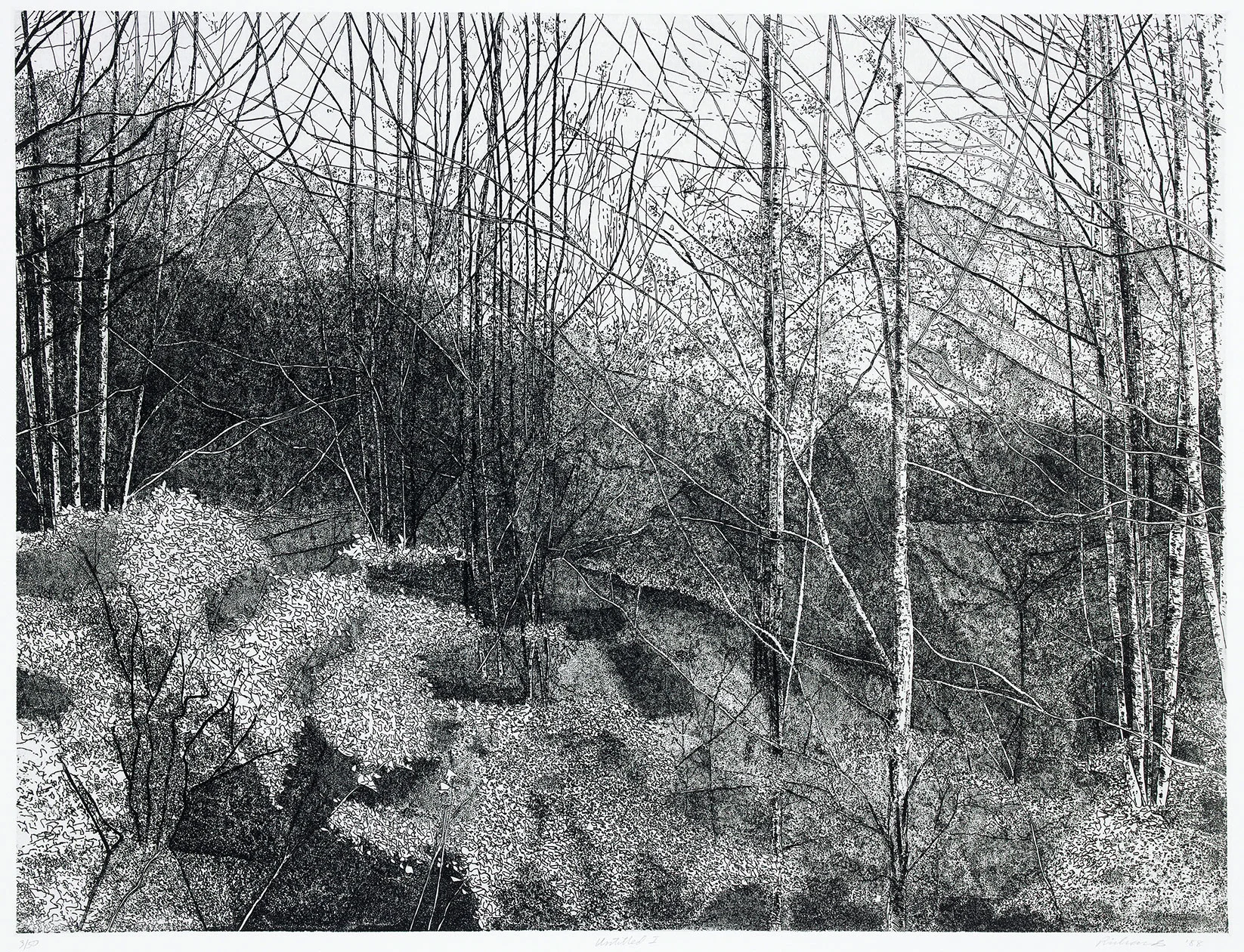 Untitled Landscape #1