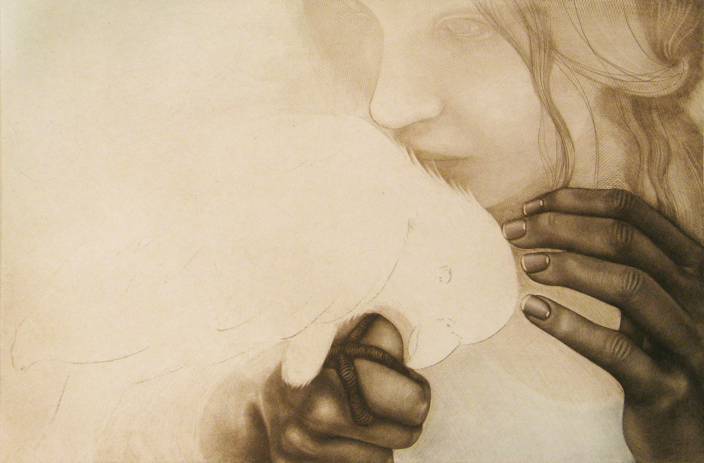 momento no. 7006 (know)