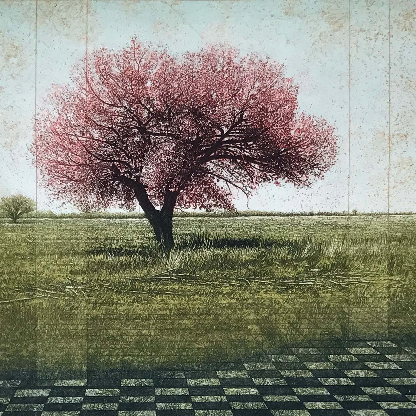 David Smith-Harrison