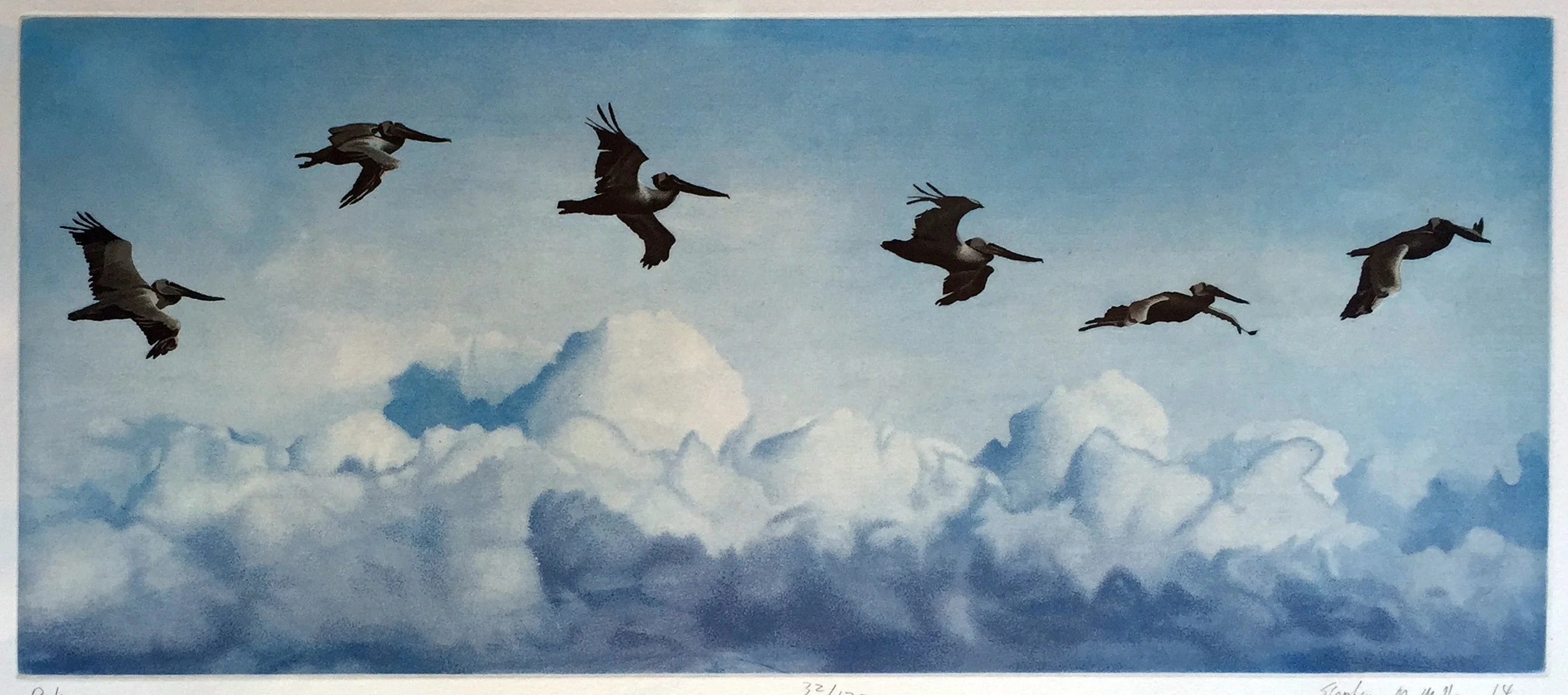 Pelicans